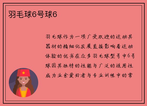 羽毛球6号球6