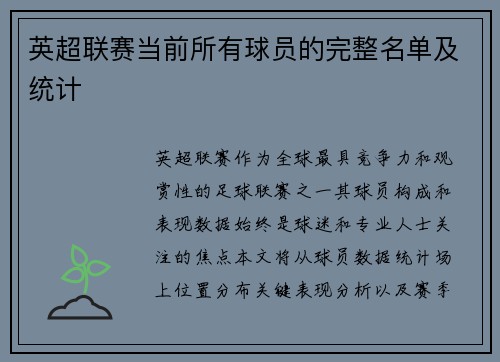 英超联赛当前所有球员的完整名单及统计